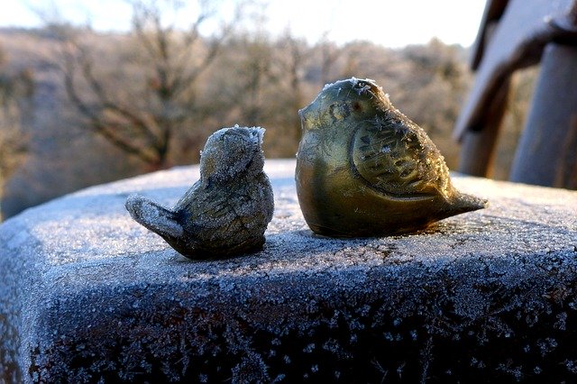 Free download Bird Figures Ice Winter free photo template to be edited with GIMP online image editor