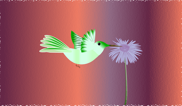 Free download Bird Flower Nature - Free vector graphic on Pixabay free illustration to be edited with GIMP free online image editor