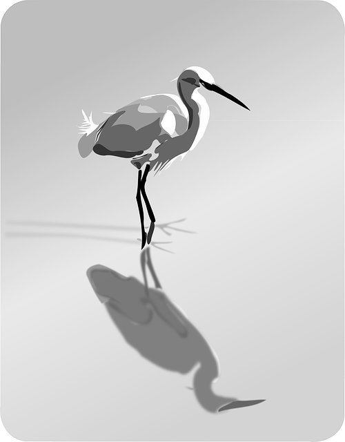 Free download Bird Heron Water - Free vector graphic on Pixabay free illustration to be edited with GIMP free online image editor