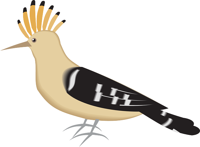 Free download Bird Hoopoe Wings - Free vector graphic on Pixabay free illustration to be edited with GIMP free online image editor