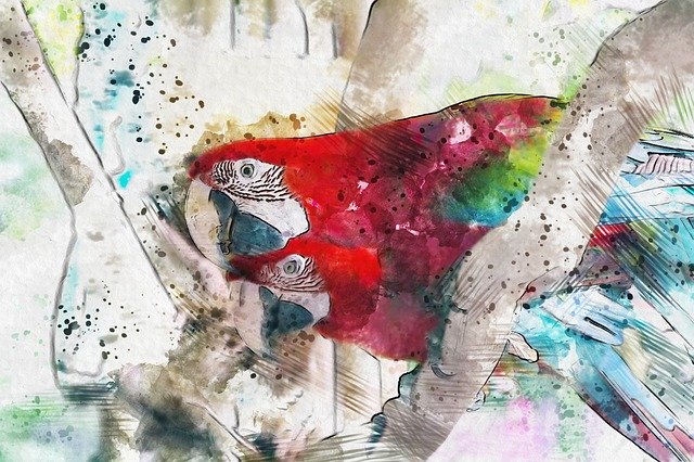 Free download Bird Parakeet Artwork -  free illustration to be edited with GIMP free online image editor