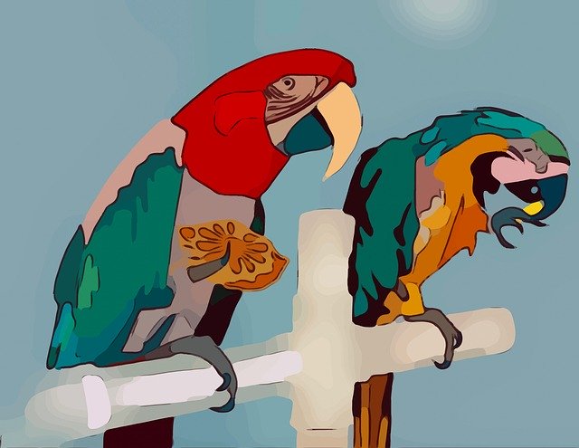 Free download Bird Parrot Nature -  free illustration to be edited with GIMP free online image editor