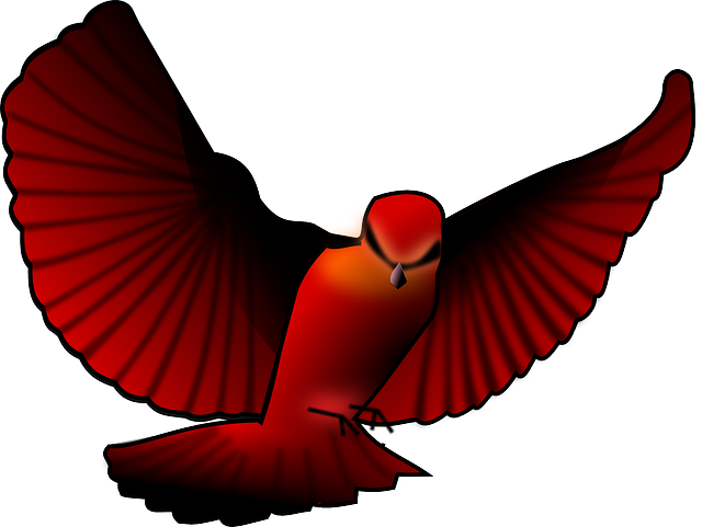 Free download Bird Red - Free vector graphic on Pixabay free illustration to be edited with GIMP free online image editor