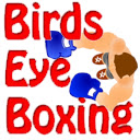 Birds Eye Boxing Game  screen for extension Chrome web store in OffiDocs Chromium