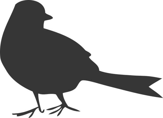 Free download Bird Shape - Free vector graphic on Pixabay free illustration to be edited with GIMP free online image editor