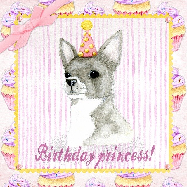 Free download Birthday Card Celebrate Girl -  free illustration to be edited with GIMP free online image editor