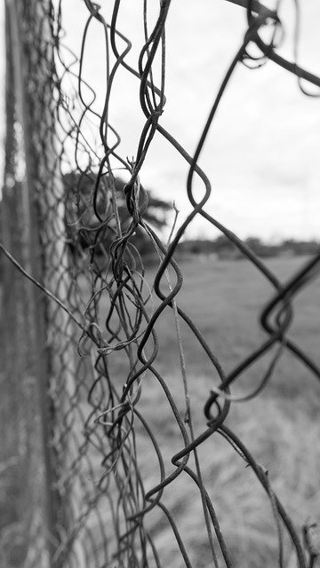 Free download Black And White Fence Field -  free photo or picture to be edited with GIMP online image editor