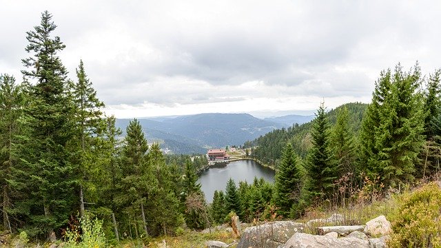 Free download Black Forest Mummelsee Lake -  free photo or picture to be edited with GIMP online image editor