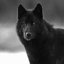 Black Wolf Theme  screen for extension Chrome web store in OffiDocs Chromium