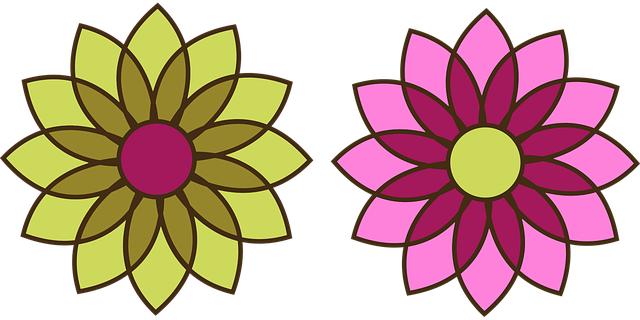 Free download Blossom Bloom Flower - Free vector graphic on Pixabay free illustration to be edited with GIMP free online image editor