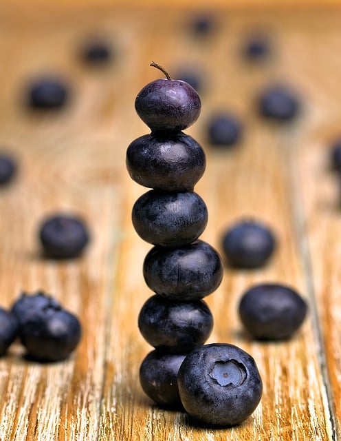 Free download blueberries fruit dessert harvest free picture to be edited with GIMP free online image editor