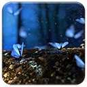 Blue Butterflies  screen for extension Chrome web store in OffiDocs Chromium