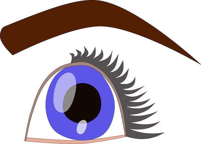 Free download Blue Eye - Free vector graphic on Pixabay free illustration to be edited with GIMP free online image editor