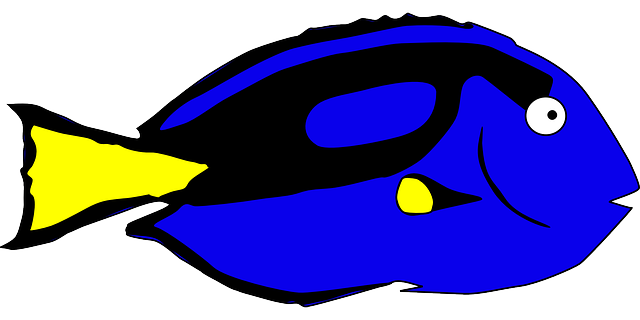 Free download Blue Fish - Free vector graphic on Pixabay free illustration to be edited with GIMP free online image editor
