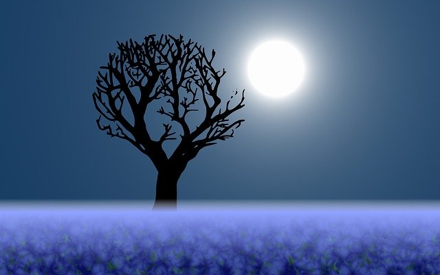 Free download Blue Night Moon Flowers -  free illustration to be edited with GIMP free online image editor