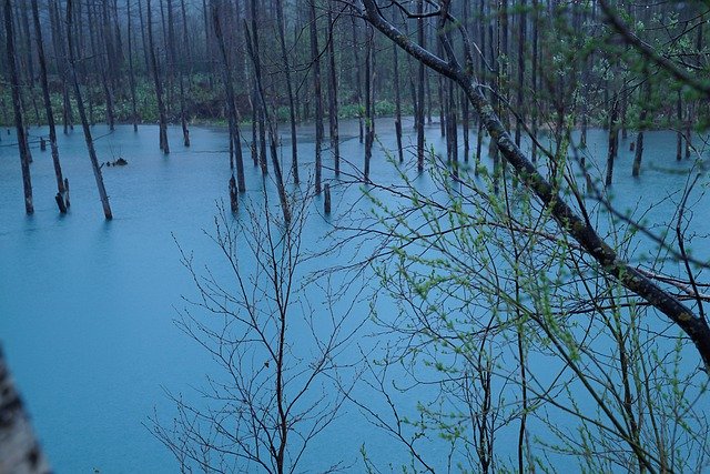 Free download Blue Pond Hokkaido Flooded -  free photo or picture to be edited with GIMP online image editor