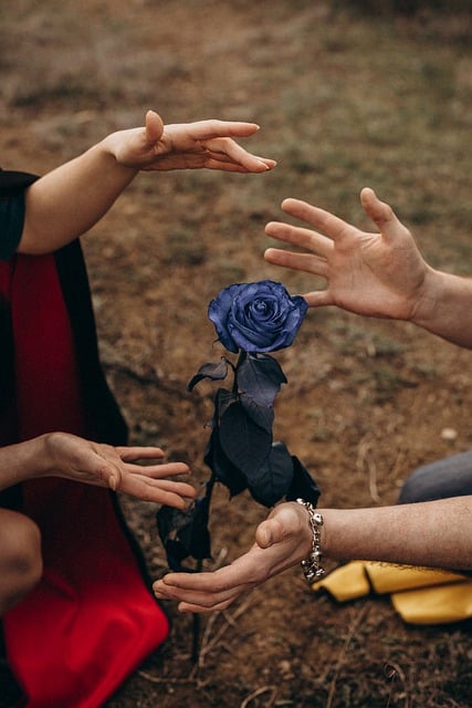 Free download blue rose hands love pair romance free picture to be edited with GIMP free online image editor