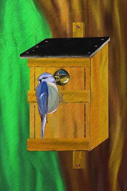 Free download Blue Tit Nesting Box Place -  free illustration to be edited with GIMP free online image editor