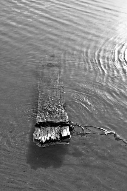 Free download Board Water Black And White -  free photo or picture to be edited with GIMP online image editor