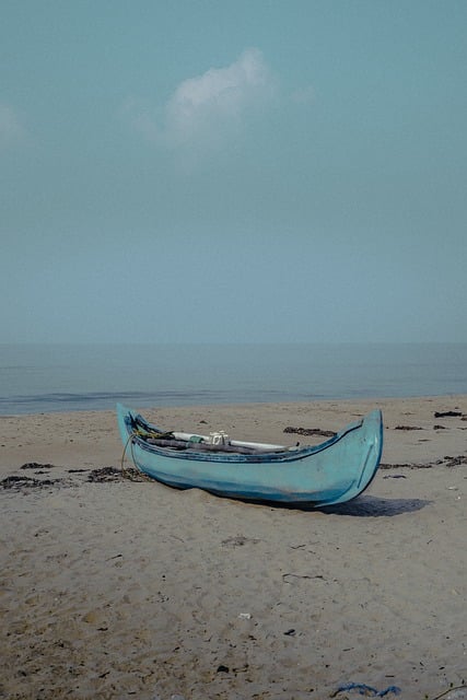 Free download boat beach sea india kerala free picture to be edited with GIMP free online image editor