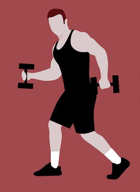 Free download Bodybuilding Gym Fitness -  free illustration to be edited with GIMP free online image editor