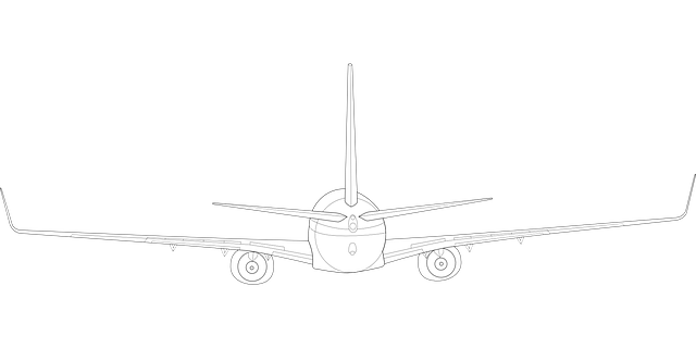 Kostenloser Download Boeing Flugzeug hinten - Kostenlose Vektorgrafik auf Pixabay, kostenlose Illustration zur Bearbeitung mit GIMP, kostenloser Online-Bildeditor