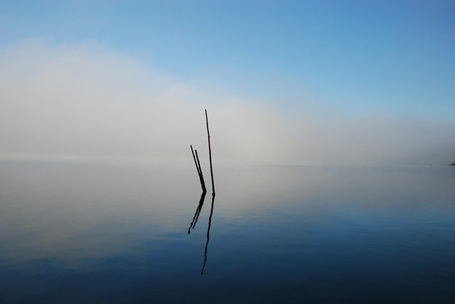 Free download Bohuslän Fjord Sea The Fog -  free photo or picture to be edited with GIMP online image editor