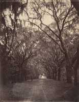 Free download Bonaventure Cemetery, Four Miles from Savannah free photo or picture to be edited with GIMP online image editor