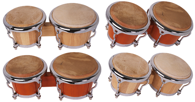 Free download Bongo Drums Music -  free photo or picture to be edited with GIMP online image editor