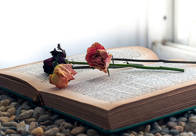 Free download book roses read literature wisdom free picture to be edited with GIMP free online image editor