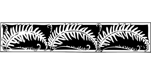 Free download Border Fern Decoration - Free vector graphic on Pixabay free illustration to be edited with GIMP free online image editor