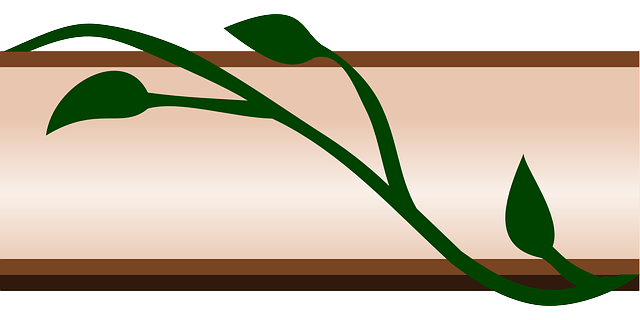 Free download Border Ivy Floral - Free vector graphic on Pixabay free illustration to be edited with GIMP free online image editor