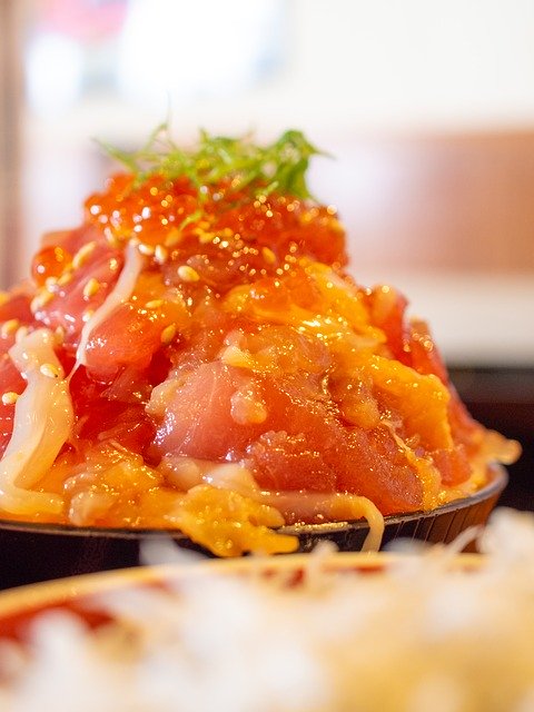 Free download Bowl Of Rice Topped With Sashimi -  free photo or picture to be edited with GIMP online image editor