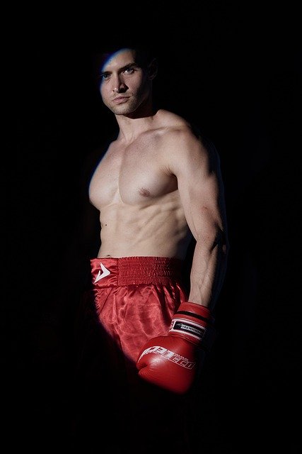 Free download Boxing Kickboxing Sport -  free free photo or picture to be edited with GIMP online image editor