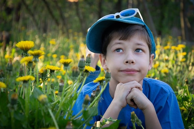 Free download boy kid grass lawn dandelions free picture to be edited with GIMP free online image editor