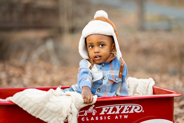 Free download boy toddler wagon hat park free picture to be edited with GIMP free online image editor