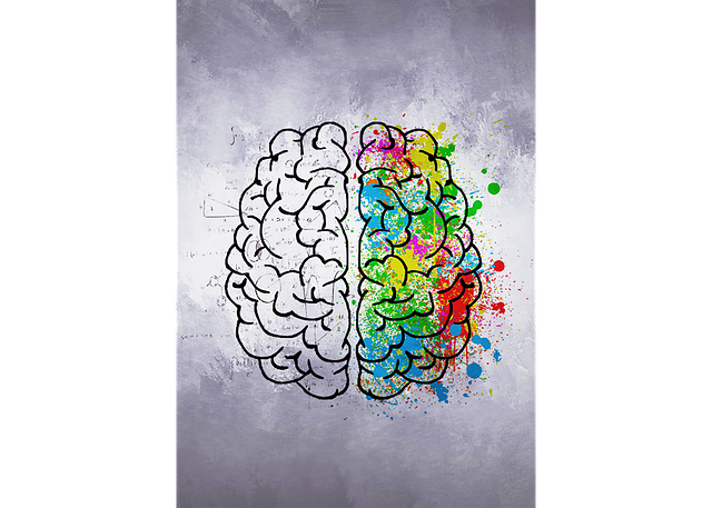 Free download Brain Colors Right Hemisphere Left -  free illustration to be edited with GIMP free online image editor