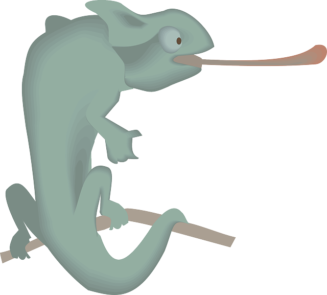 Free download Branch Green Chameleon - Free vector graphic on Pixabay free illustration to be edited with GIMP free online image editor