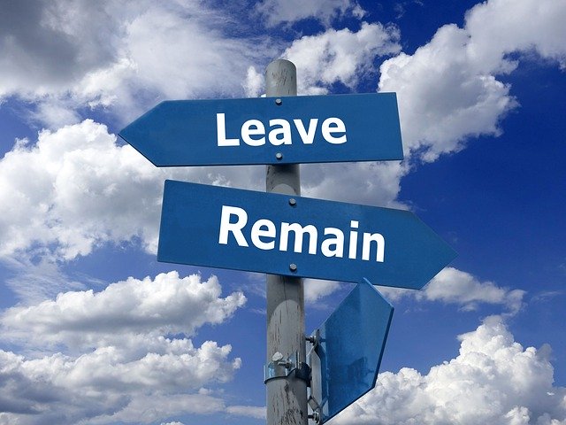 Free download Brexit Leave Remain -  free photo or picture to be edited with GIMP online image editor