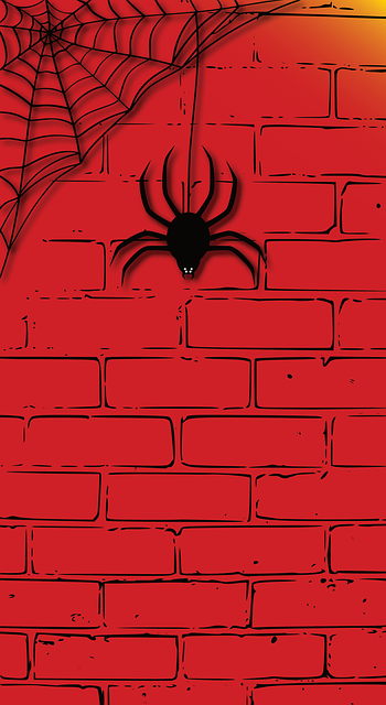 Free download Brick Wall Background Spider -  free illustration to be edited with GIMP free online image editor