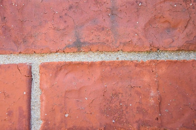 Free download brick wall red bricks texture free picture to be edited with GIMP free online image editor