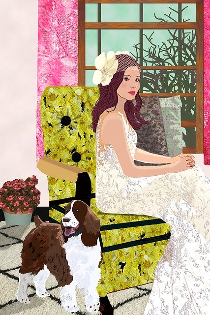 Free download Bride Living Room English Springer -  free illustration to be edited with GIMP free online image editor