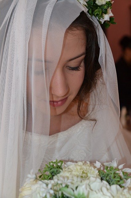 Free download Bride The Veil -  free photo or picture to be edited with GIMP online image editor