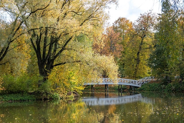 Free download bridge lake autumn forest nature free picture to be edited with GIMP free online image editor