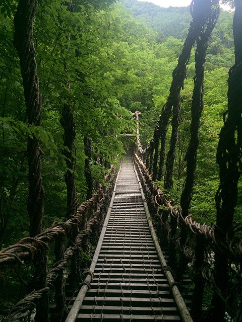 Free download Bridge Nature Japan -  free photo or picture to be edited with GIMP online image editor