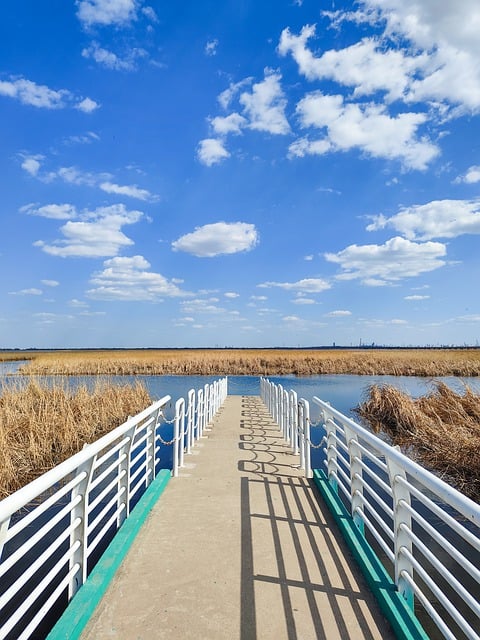 Free download bridge nature reserve wetlands free picture to be edited with GIMP free online image editor