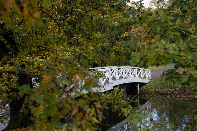 Descarga gratis Bridge Park Autumn Nature Free Picture para editar con el editor de imágenes en línea gratuito GIMP