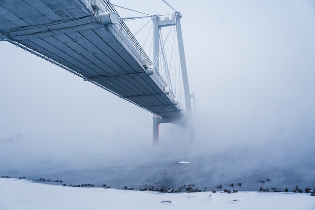 Free download bridge river fog snow winter free picture to be edited with GIMP free online image editor