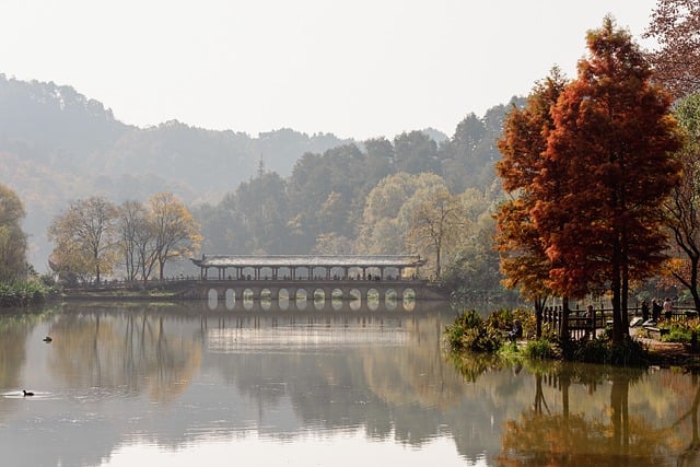 Free download bridge river forest autumn fall free picture to be edited with GIMP free online image editor