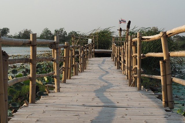 Téléchargement gratuit de Bridge Swamp Nature - photo ou image gratuite à modifier avec l'éditeur d'images en ligne GIMP